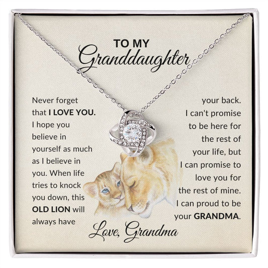 To My Granddaughter - I am Proud of You Love Necklace from Grandma - luxafinejewelry